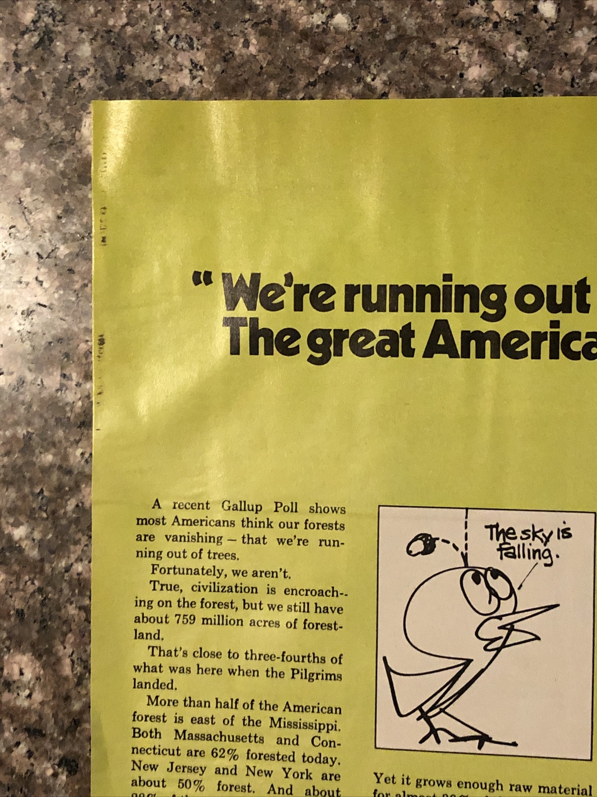1974 American Forest Institute PRINT AD Run Out of Trees Myth VTG 70s Tree Farm
