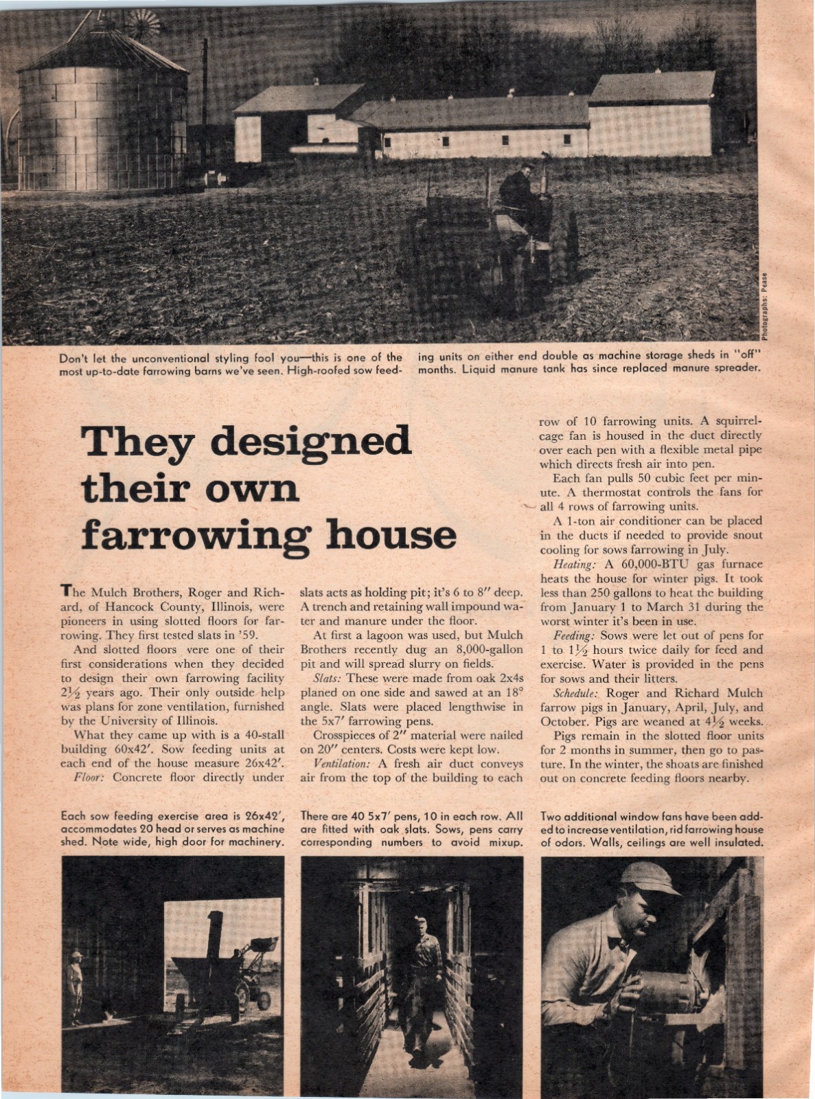 1964 Mulch Brothers Farrowing Barn Hancock County Illinois Vintage Print Ad
