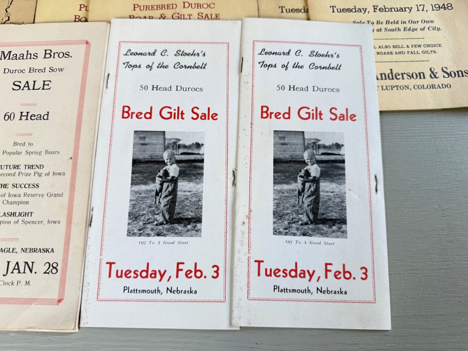 Mixed Lot of 34 Vintage Duroc Pig Hog Auction Sale Brochure Advertising KS NE CO