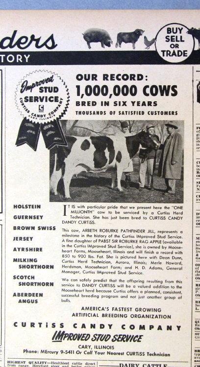 Oriin 1955 Breeder Ad Photo Endorsed by Merle Howard of Mooseheart Farms Ohio