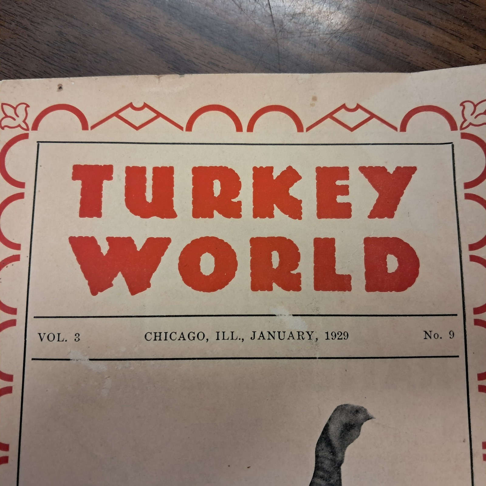 Vintage 1929 Turkey World Show Book & Talking Turkey Beacon Milling Co. N.Y.
