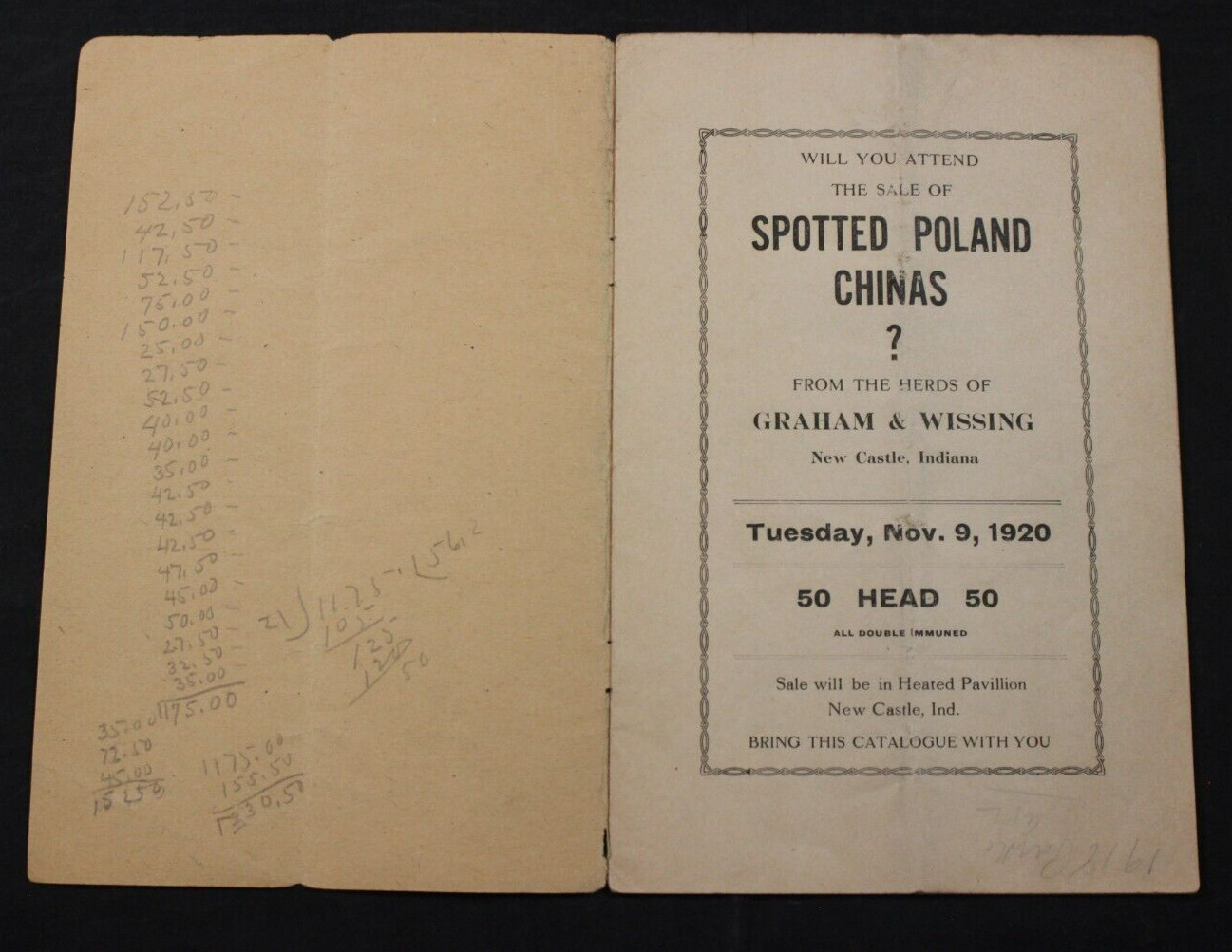 1920 SPOTTED POLAND CHINAS HOG PIG SALE CATALOG ~ NEW CASTLE, INDIANA