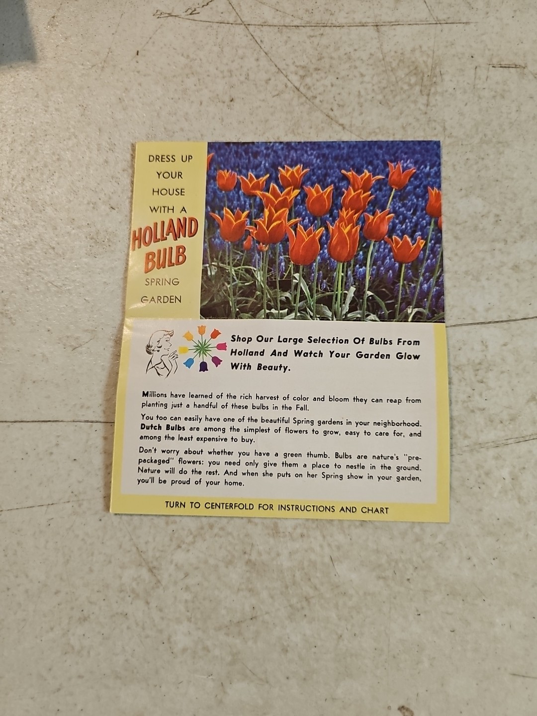 Vintage Associated Bulb Growers of Holland Brochure. Highlands Garden Shop PA