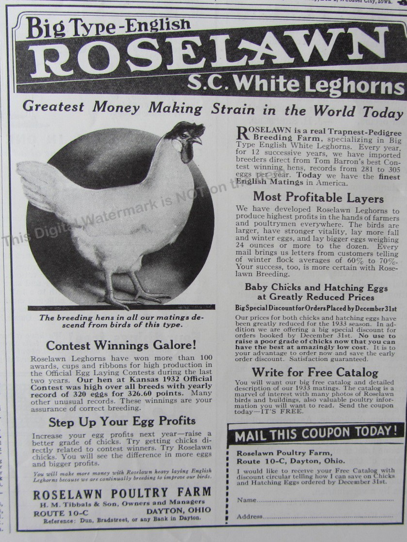 1932 Print Ad* Roselawn Poultry Farm S.C. White Leghorns Breeding Hens Dayton OH