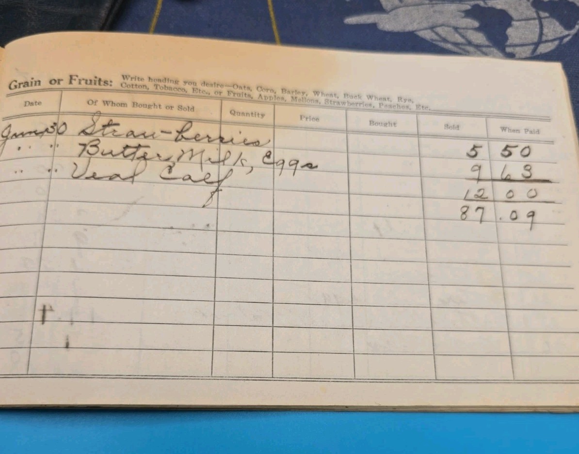 1928–1929 Michigan Farm Ledger – Buttermilk, Eggs, Produce, Livestock, Cow Sale
