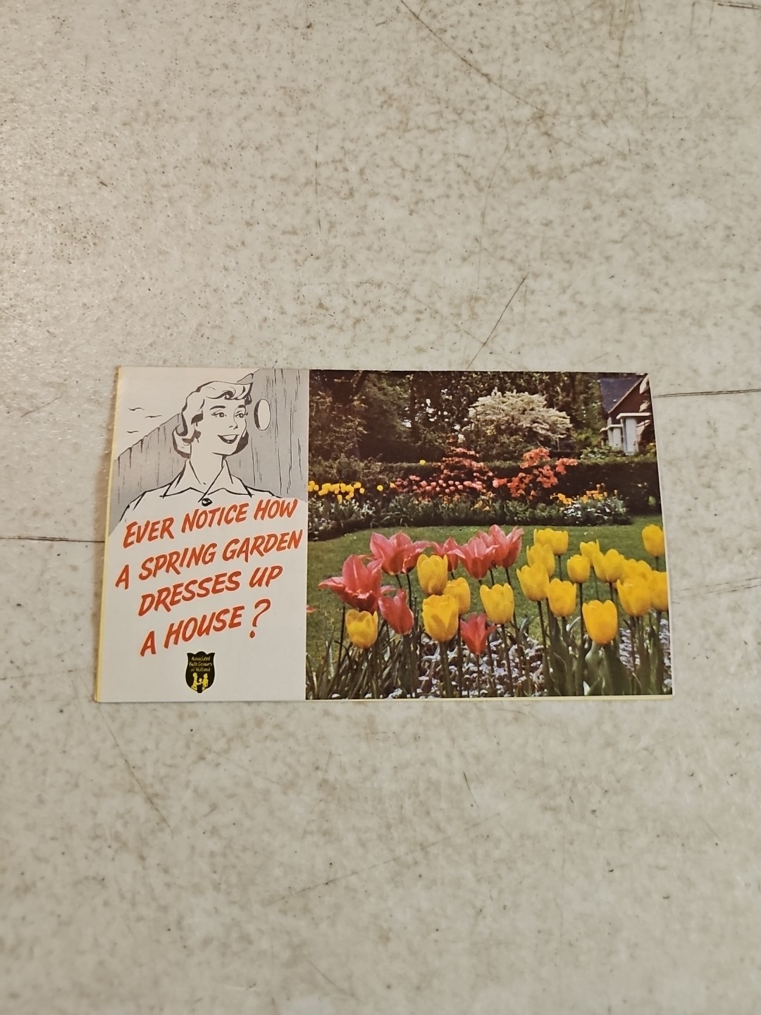 Vintage Associated Bulb Growers of Holland Brochure. Highlands Garden Shop PA