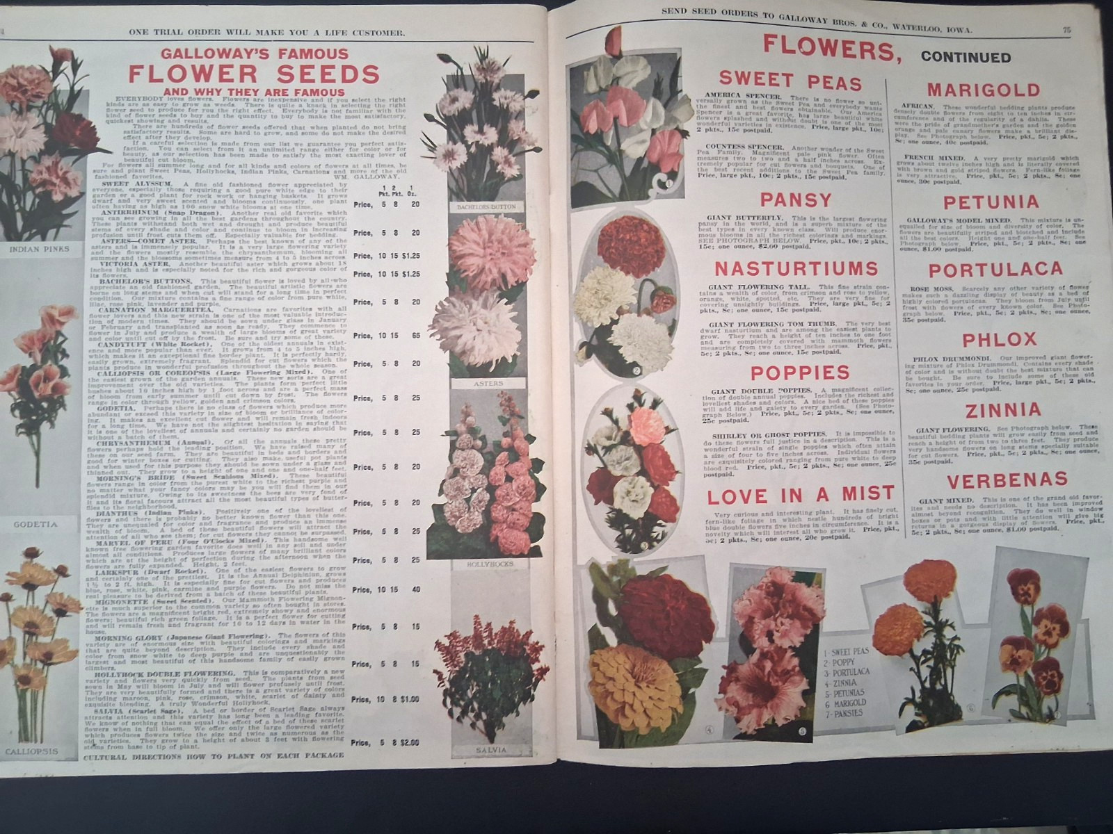 1915 Galloway Bros Iowa Catalog Farm Engines Cast Iron Stoves Clothes Color