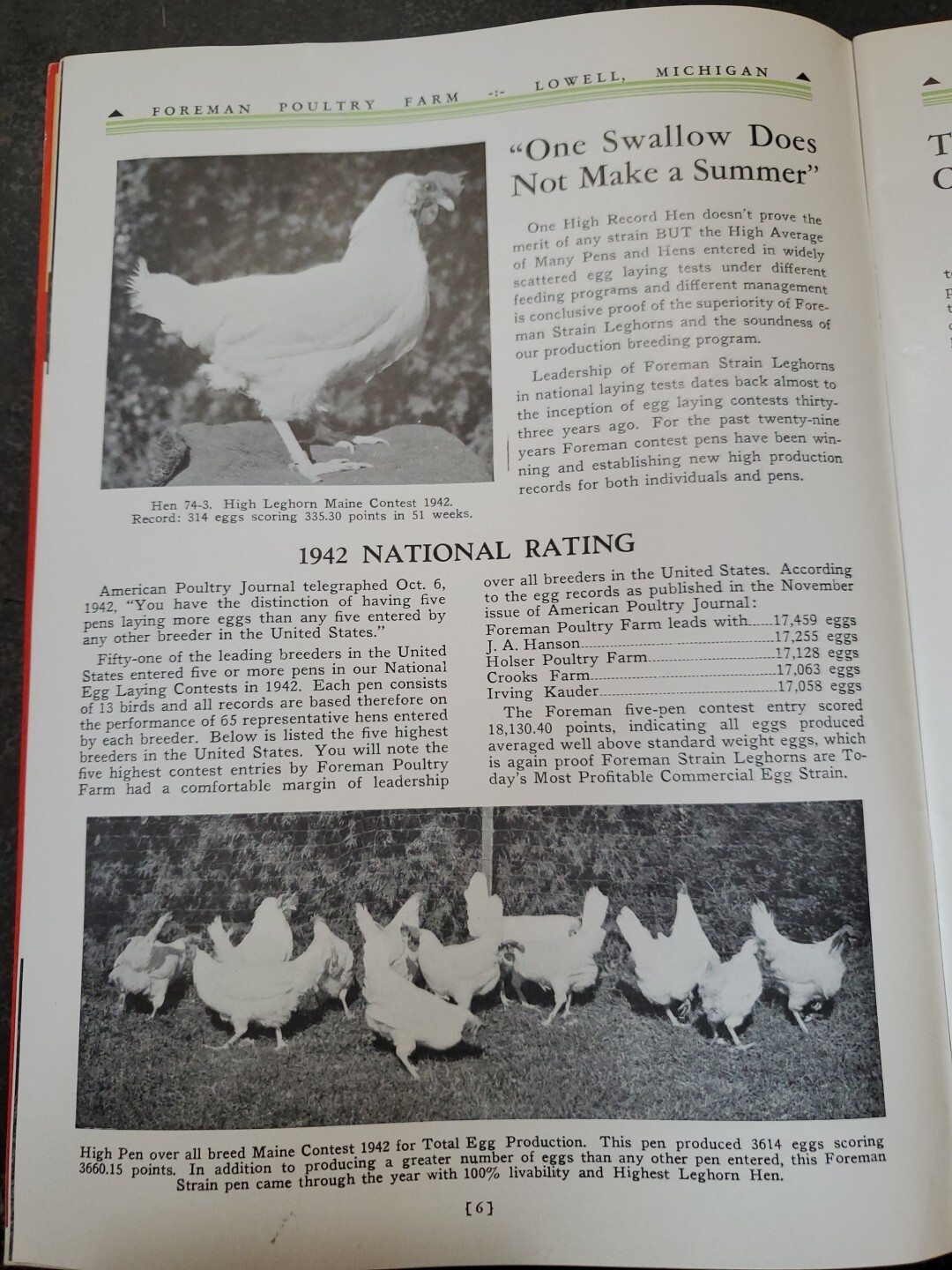 1944 Foreman Poultry Farm Catalog Chickens Beautiful & RARE 🐔