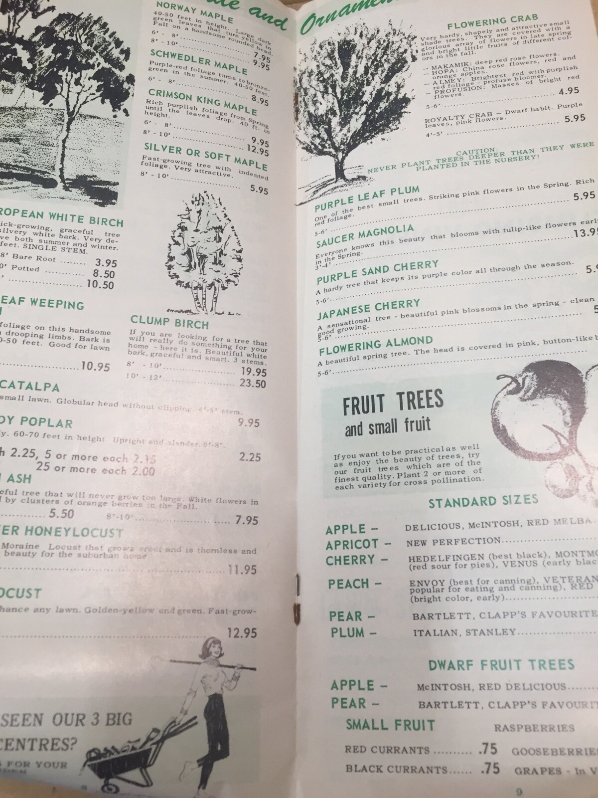 Weall And Cullen Nurseries, Vintage Spring Plant Gardening Brochure Catalogue M1