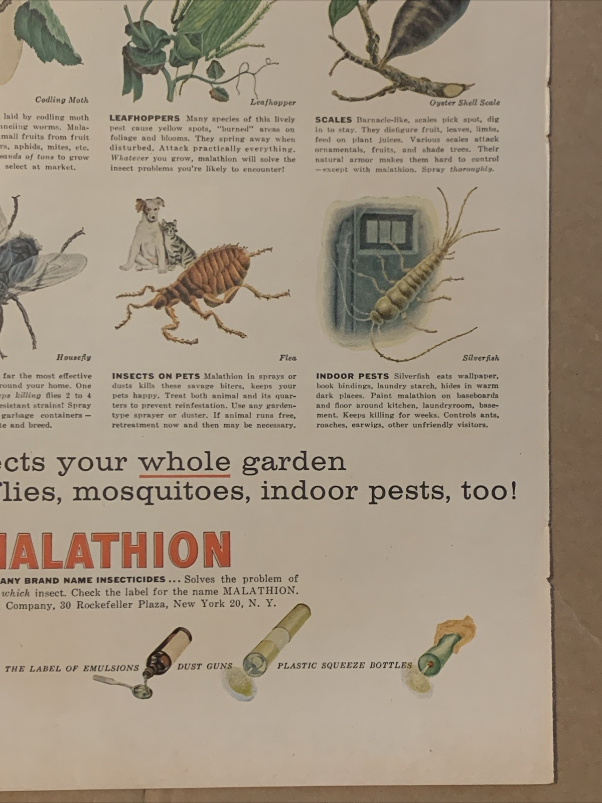 1957 Cyanamid Malathion Insecticide PRINT AD Garden Pests Common Insects VTG 50s