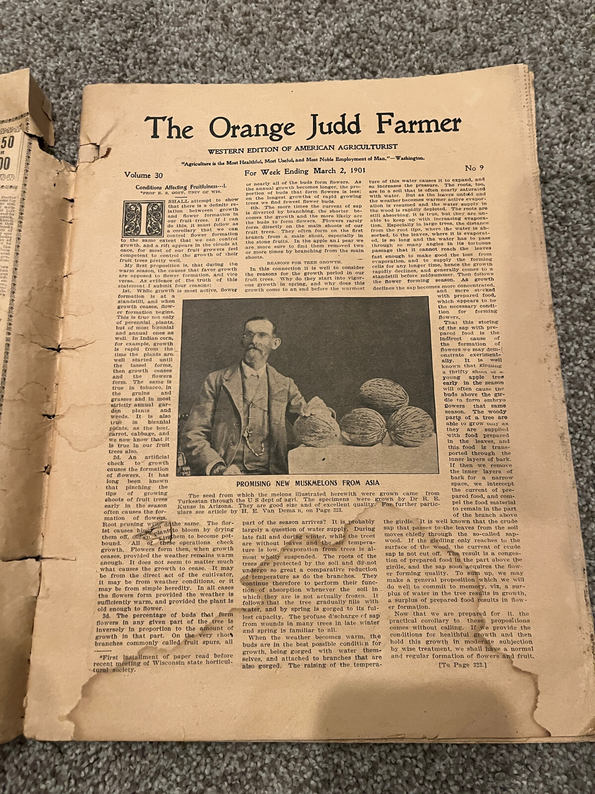 March 1901 THE ORANGE JUDD FARMER Magazine Farm Advertising Horticulture