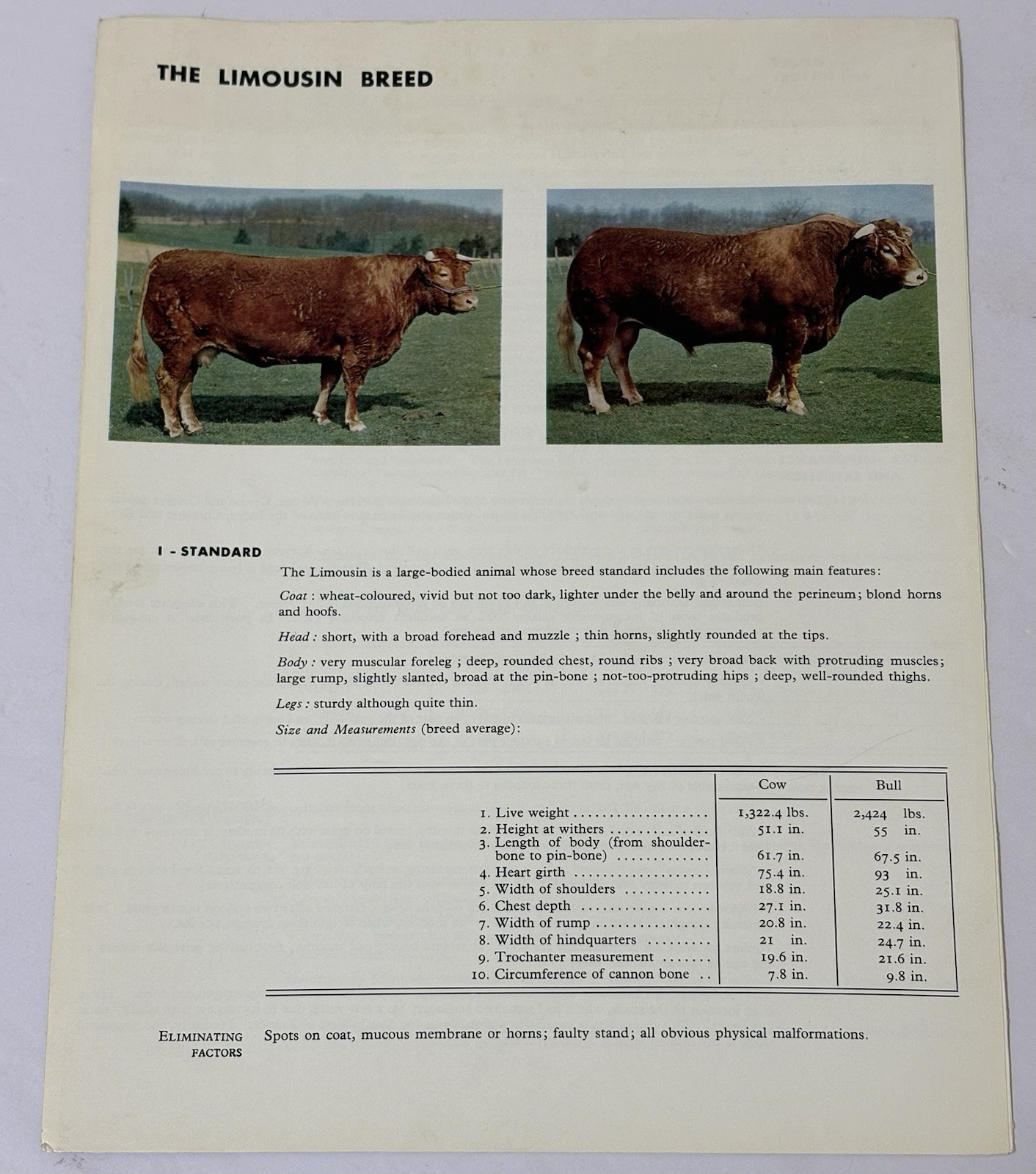 Vintage 1960s Cattle Cows Booklet Brochure – THE LIMOUSIN BREED – France