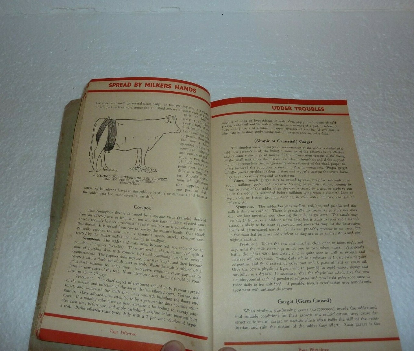 1938 Hoard&rsquo;s Dairymen First Aid Treating Common Ailments of Farm Animals M-2