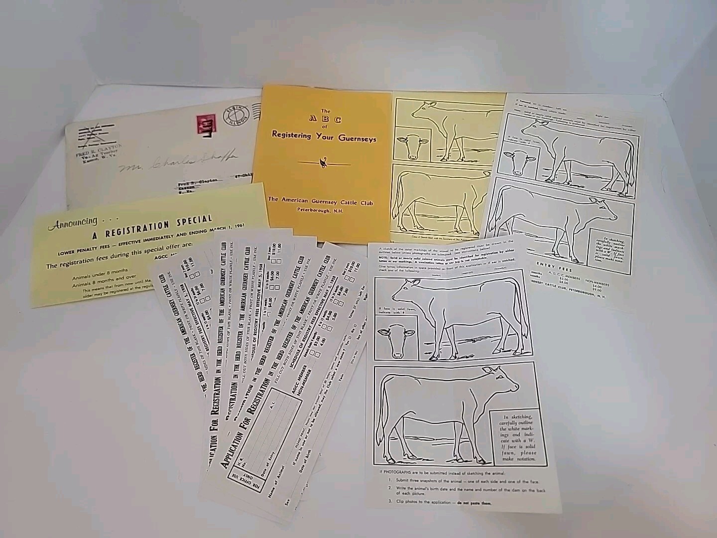The A B C of Registering your Guernseys Packet, American Guernsey Cattle Club AG