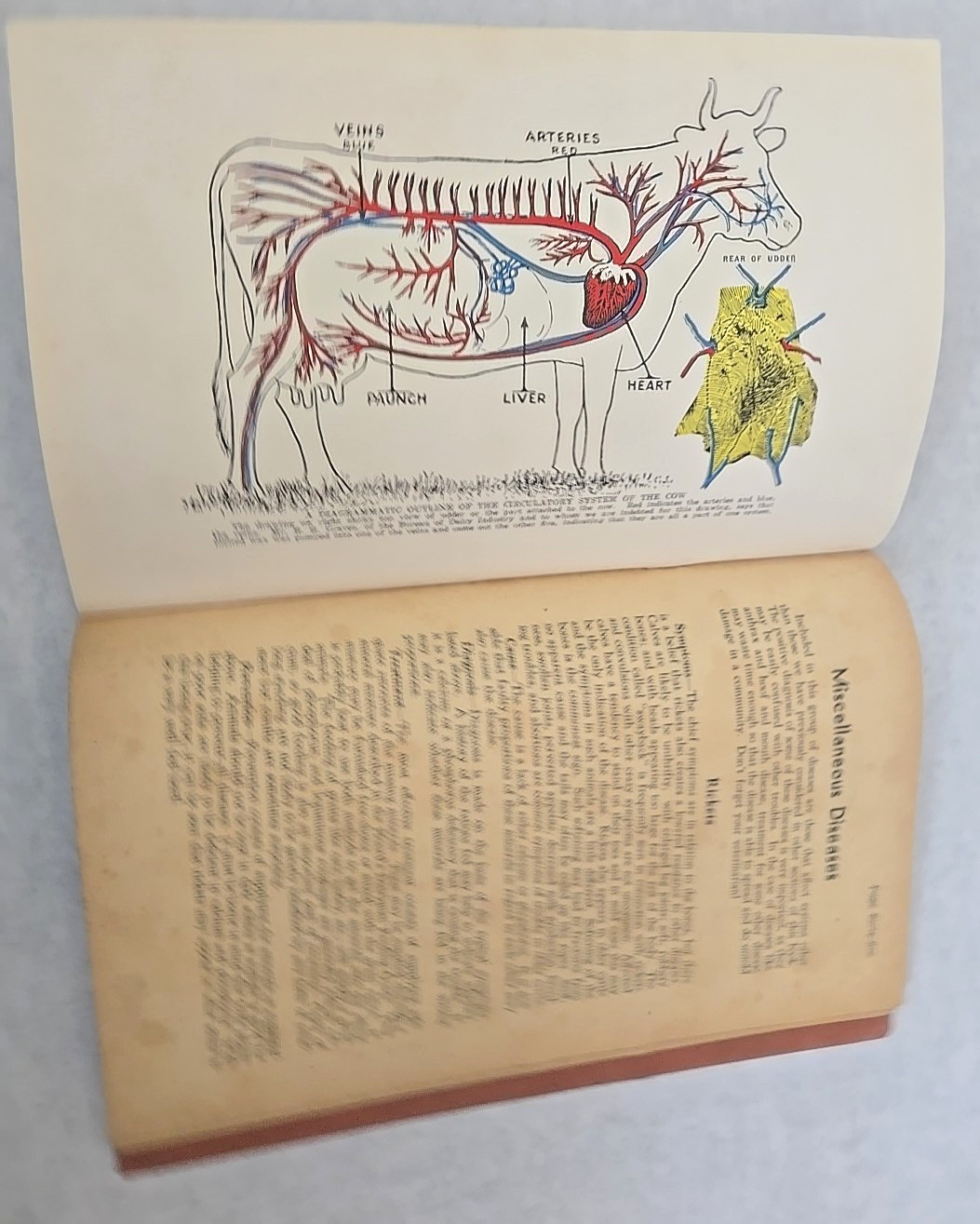 Vintage 1947 Hoard&rsquo;s Dairyman How to Treat Common Ailments of Farm Animals