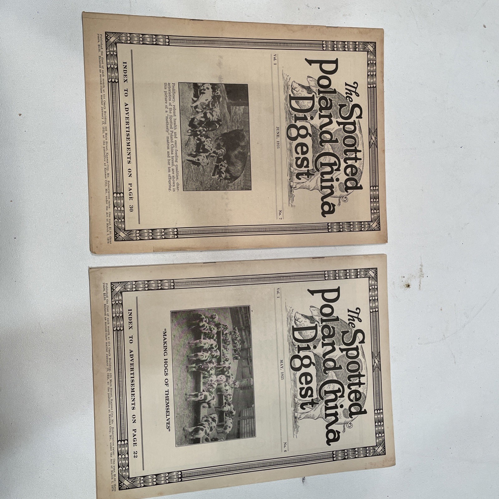 Vintage Spotted Poland China Pig Hog Digest 1925 LOT OF 6