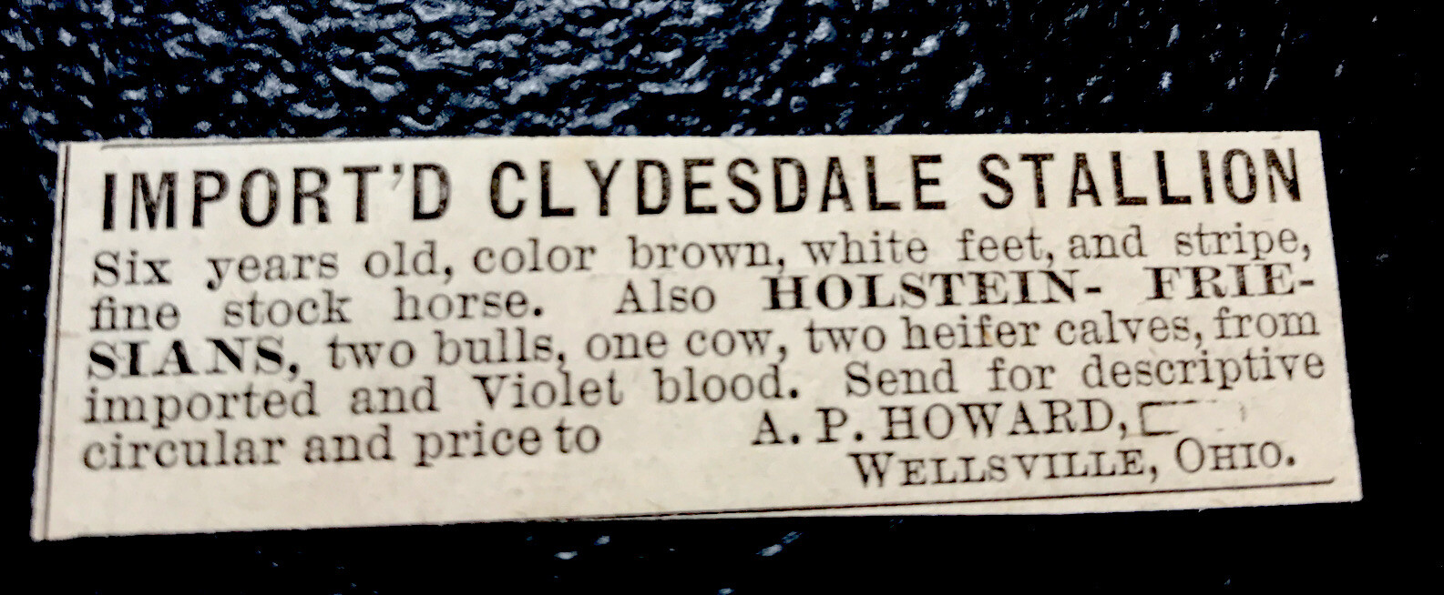 1886 Clydesdale Horse Farm Advertising – Wellsville – Ohio