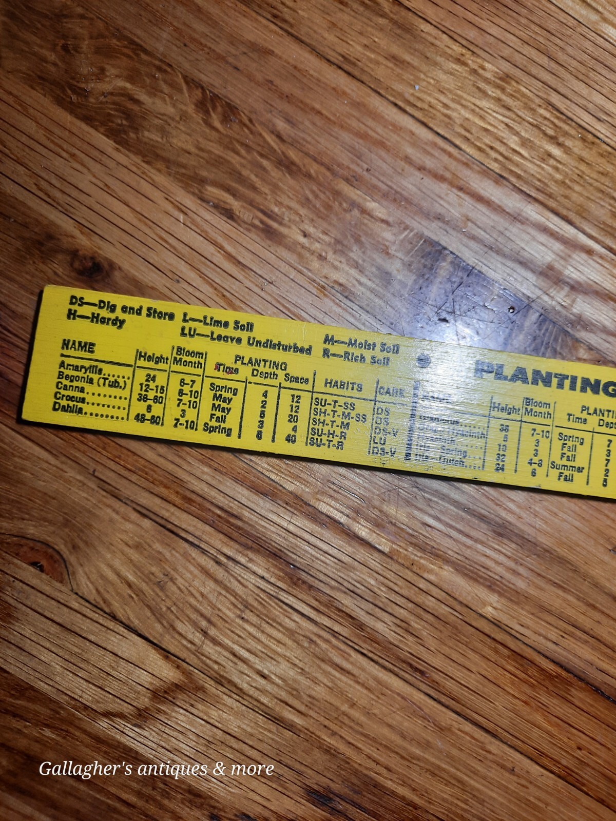 VINTAGE Rare Albemarle NC Stanley Hardware company ADVERTISING RULER Plant