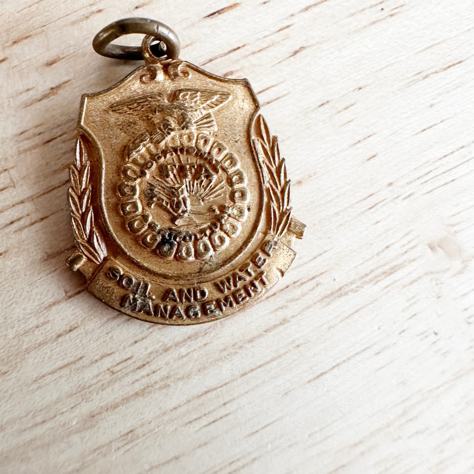 Vintage FFA Pin Lot Soil Conservation Crop Farming Agriculture 1965 CHS Pendant