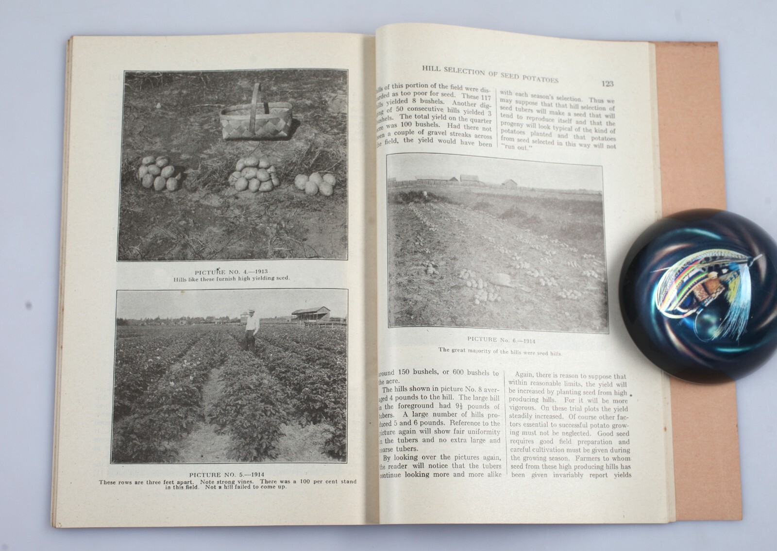 Vintage 1916 Wisconsin Farmer&rsquo;s Institutes Bulletin Handbook of Agriculture