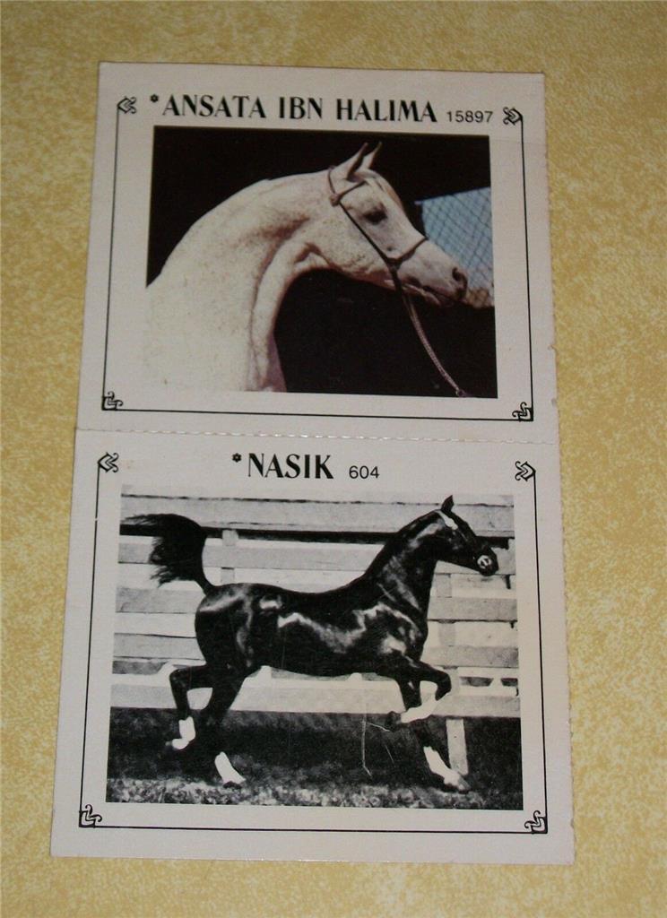 VTG VET SUPPLY BUTLER INDIANAPOLIS INDIANA + ARAB INK ARABIAN HORSE TRADING CARD