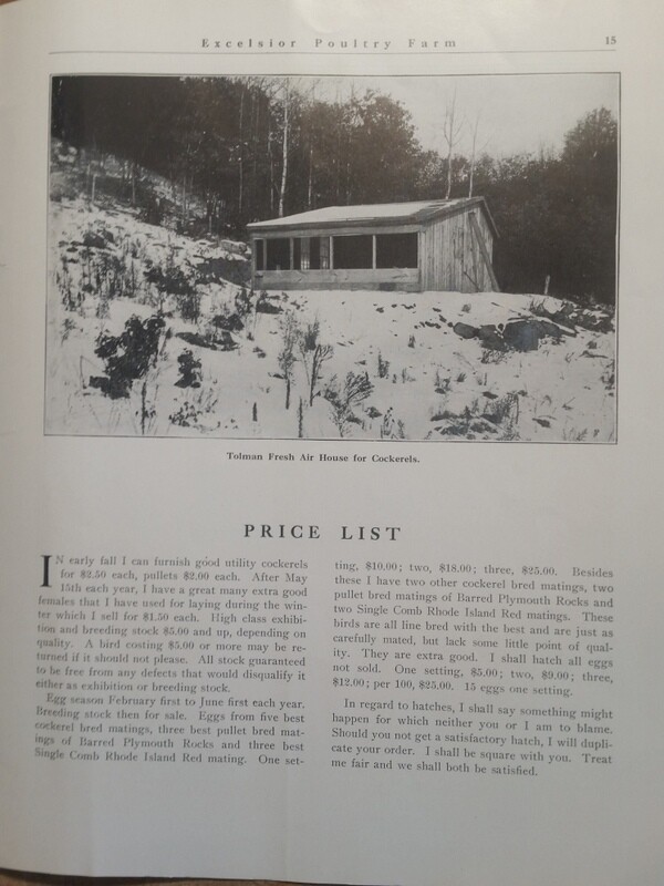 1911 Excelsior Poultry Farm T Carter Jonesdale WI Mineral Point Dodgeville Area