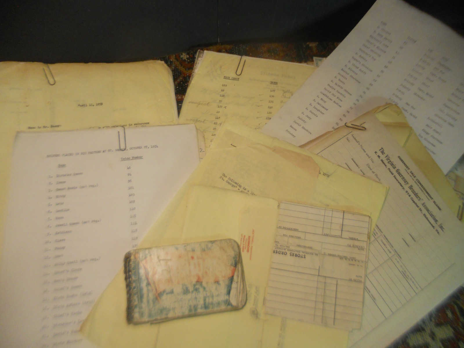 450+ CATTLE CLUB Vintage American GUERNSEY CERTIFICATES BOOKS Newport News VA