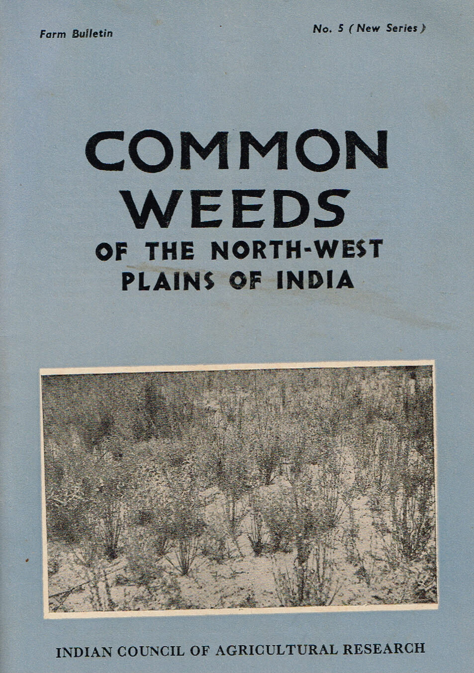 Vintage 1960s Farm Brochure India New Delhi Common Weeds North West Plains