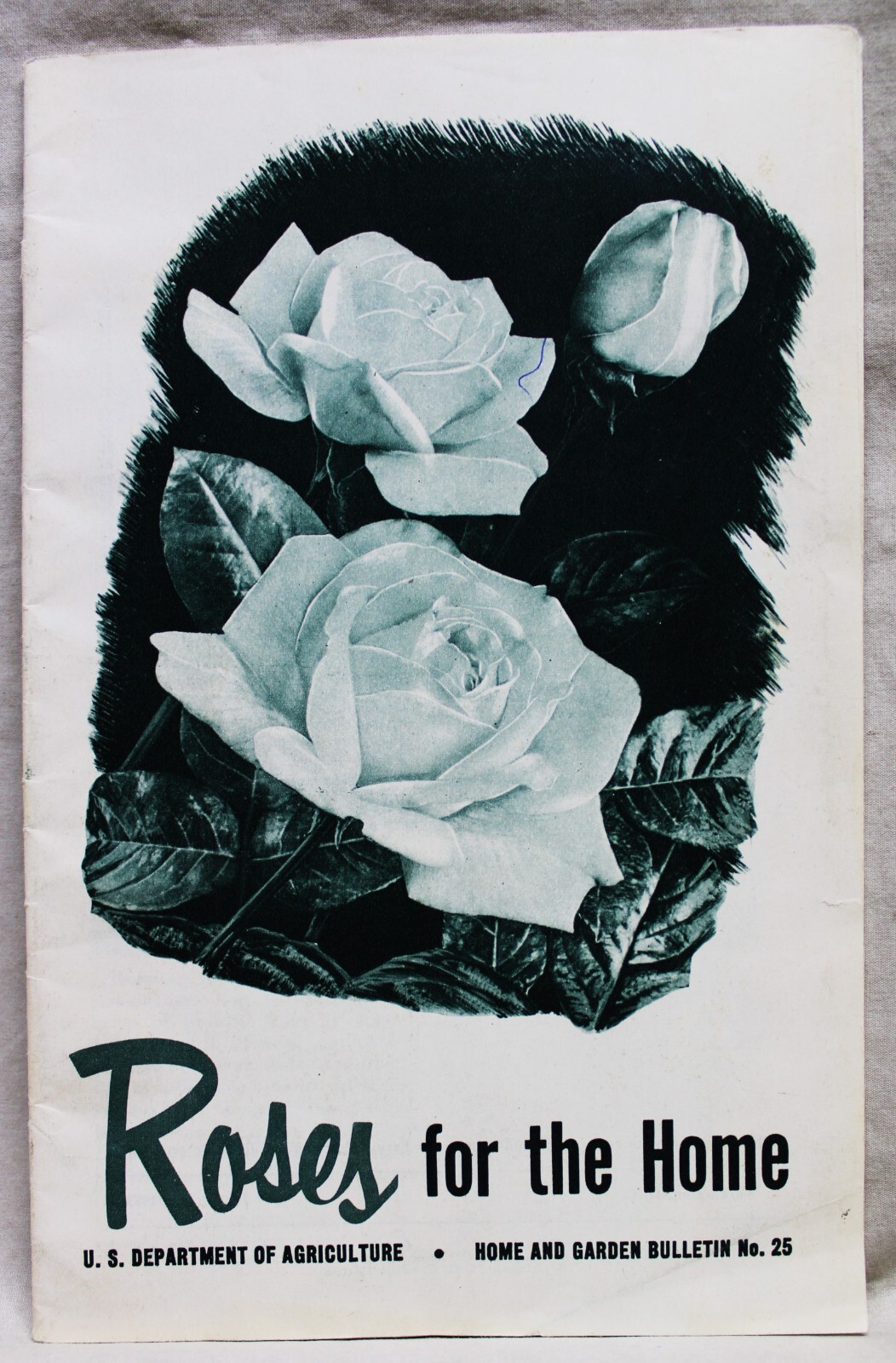 U.S. DEPARTMENT OF AGRICULTURE ROSES FOR THE HOME BROCHURE GUIDE 1953 VINTAGE