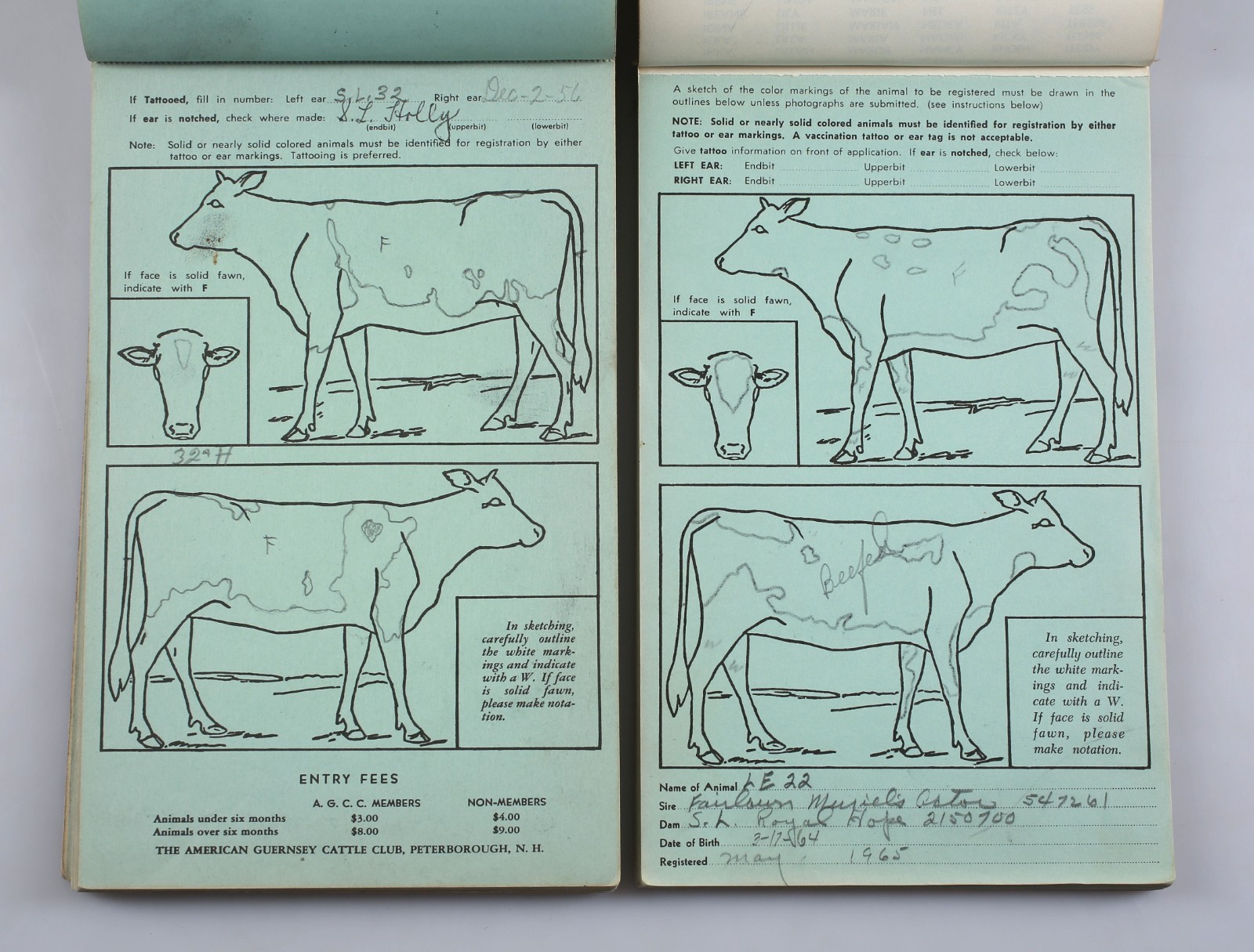 Lot of 2 American Guernsey Cattle Club Herd Registration Entry Application Books