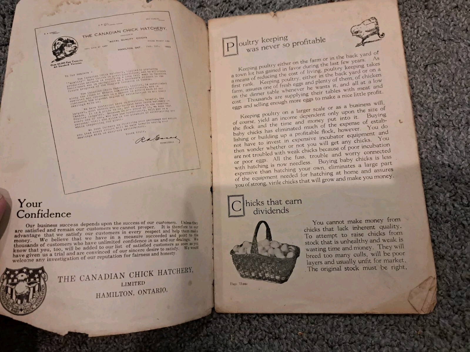 The Profit Maker Vintage 1923 Canadian Chick Hatchery Booklet Poultry
