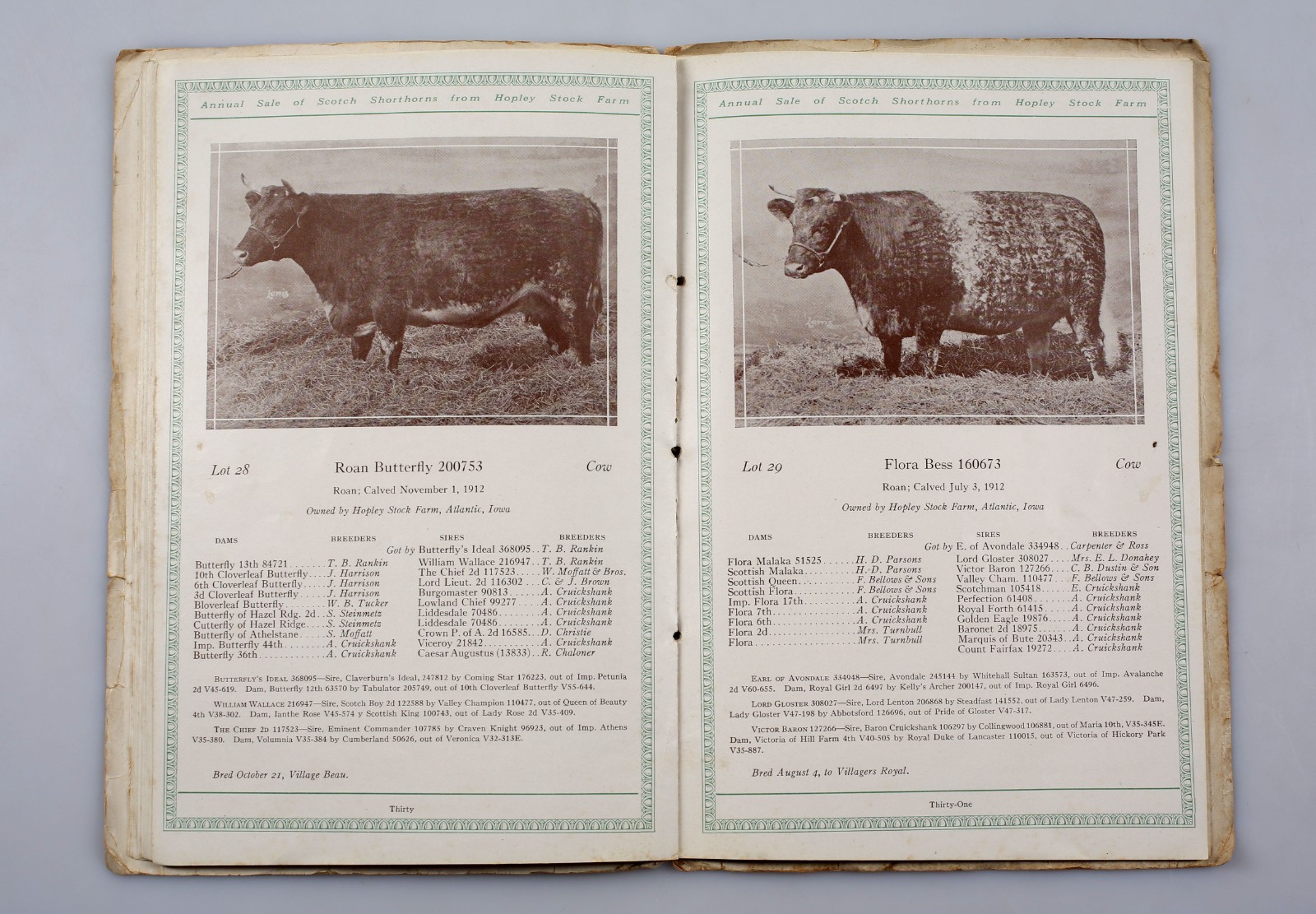 1918 Scotch Shorthorns Livestock Sale Catalog Hopley Stock Farm Atlantic Iowa