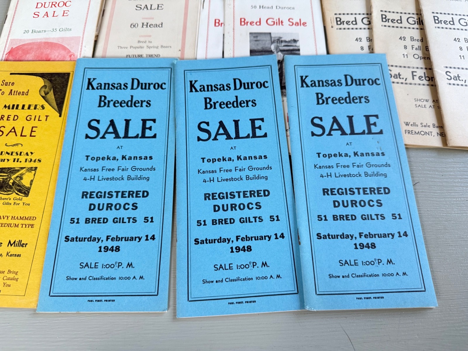 Mixed Lot of 34 Vintage Duroc Pig Hog Auction Sale Brochure Advertising KS NE CO