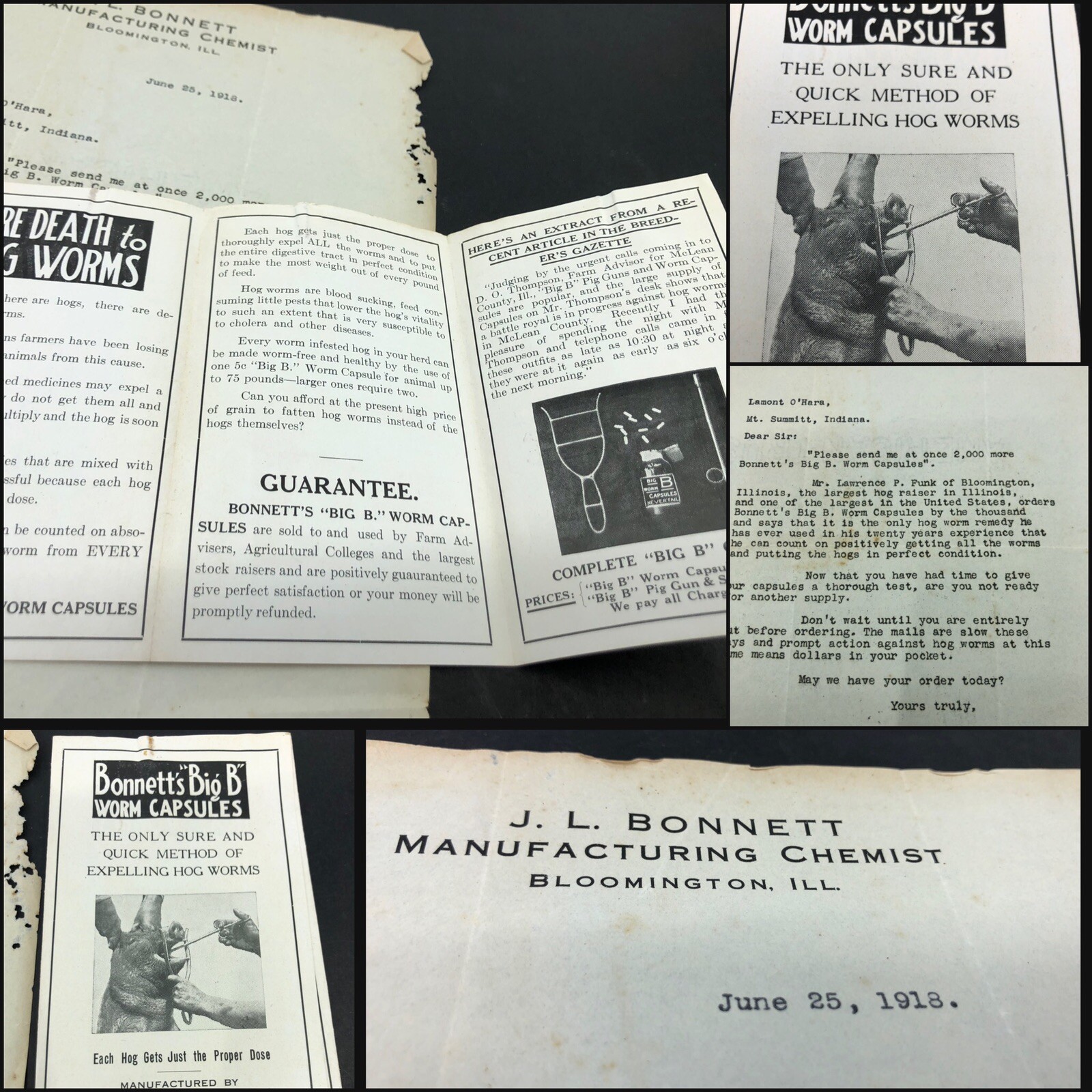 1918 BONNETTS BIG B HOG WORM CAPSULES ILLUS BROCHURE Letterhead Bloomington IL