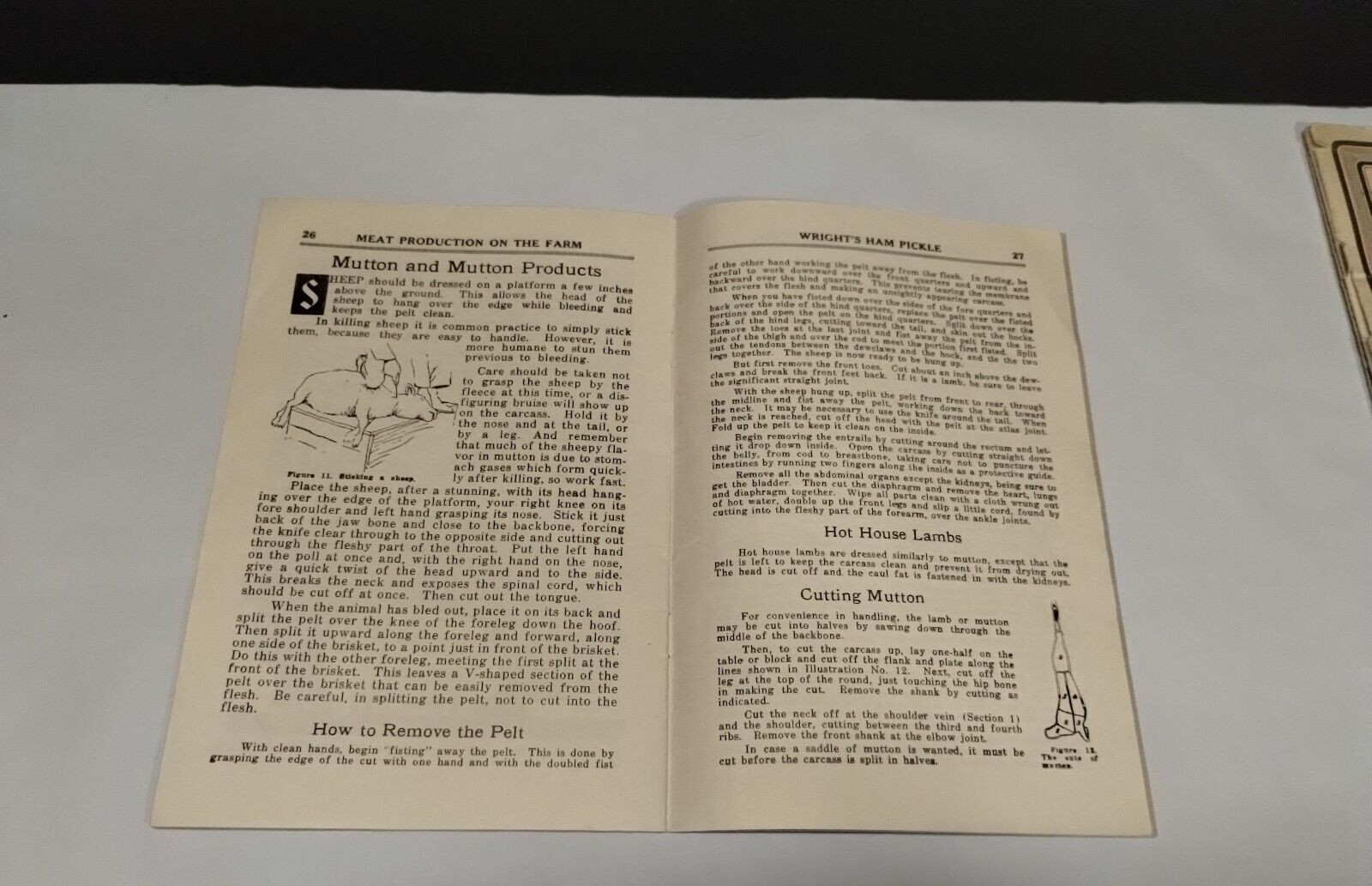 Vintage MEAT PRODUCTION On The FARM Bklet & 1922 Simple Instructions for Butcher