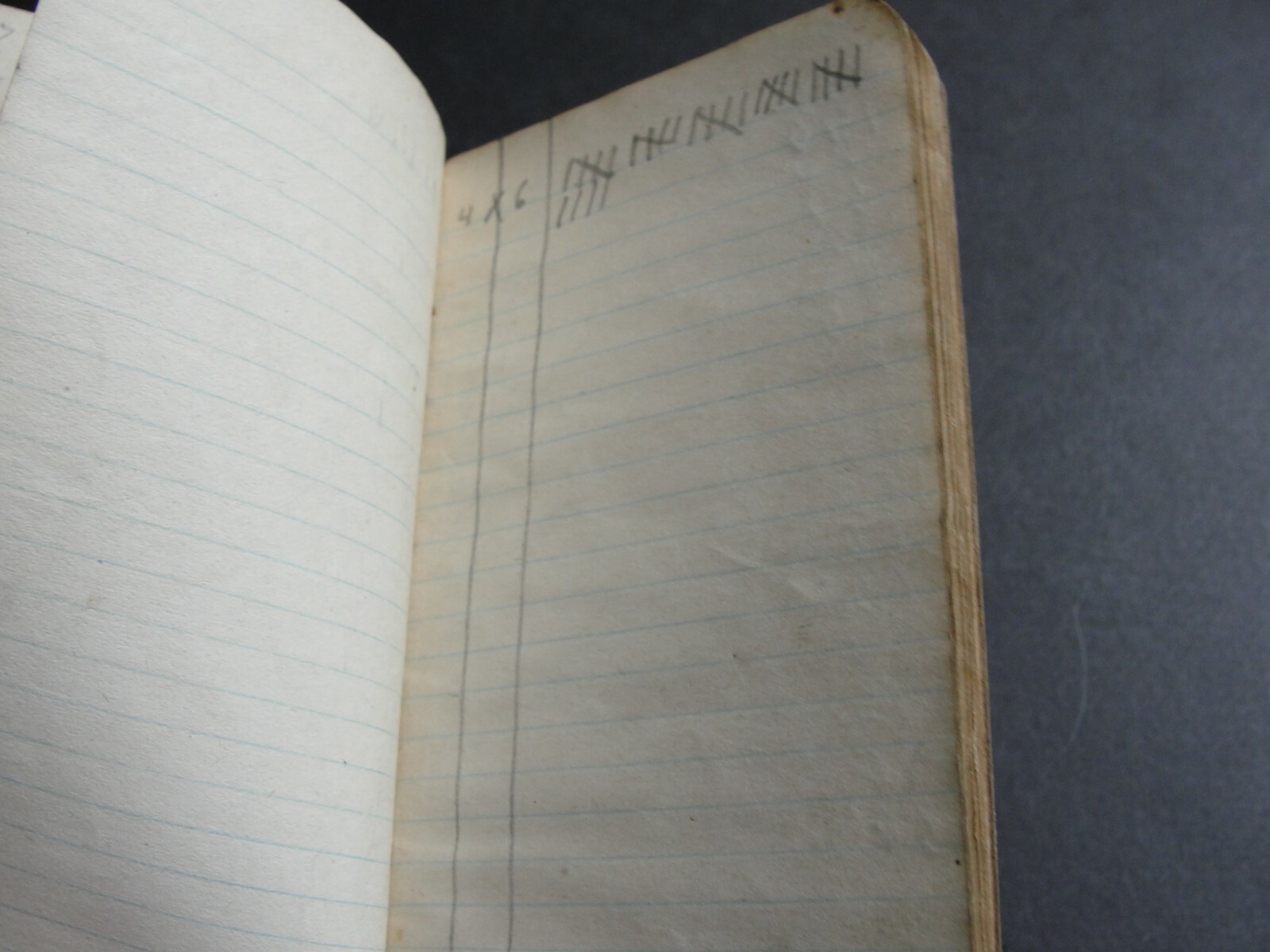 High Grade Fertilizers- The Independent Packers Fertilizing Co. 1914 Memo Book.