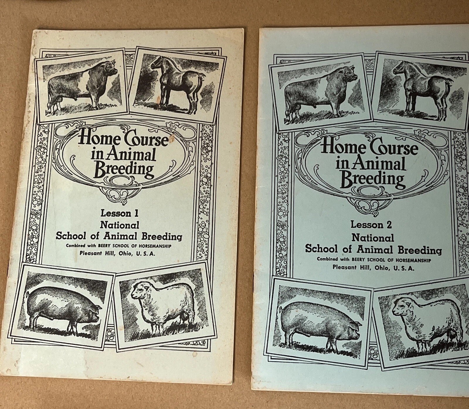 Vintage 1961 Beery School Horsemanship Animal Breeding Course – Partial Set