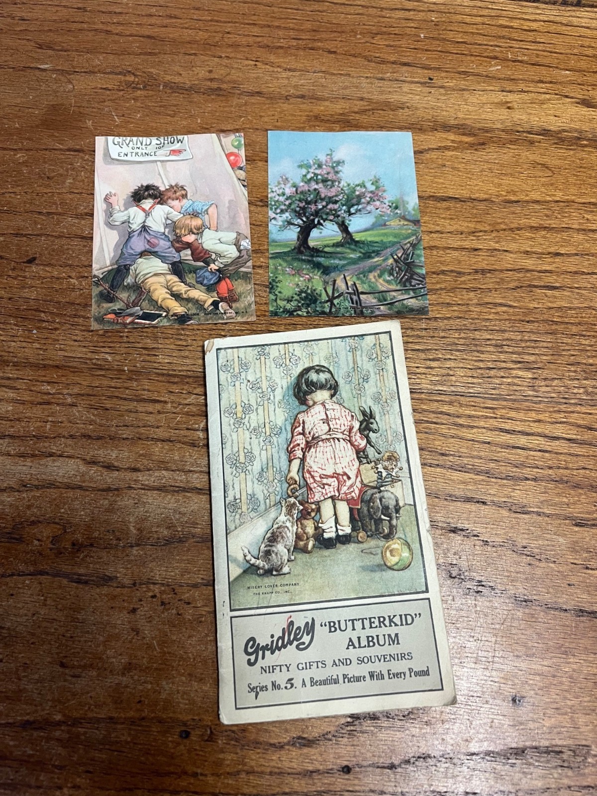 RARE Vintage 1920s Gridley Butter Butterkid Album Advertising Card Milwaukee WI