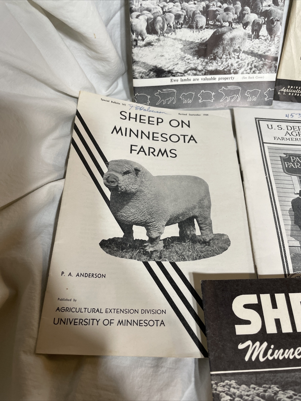 minnesota sheep farming bulletins
