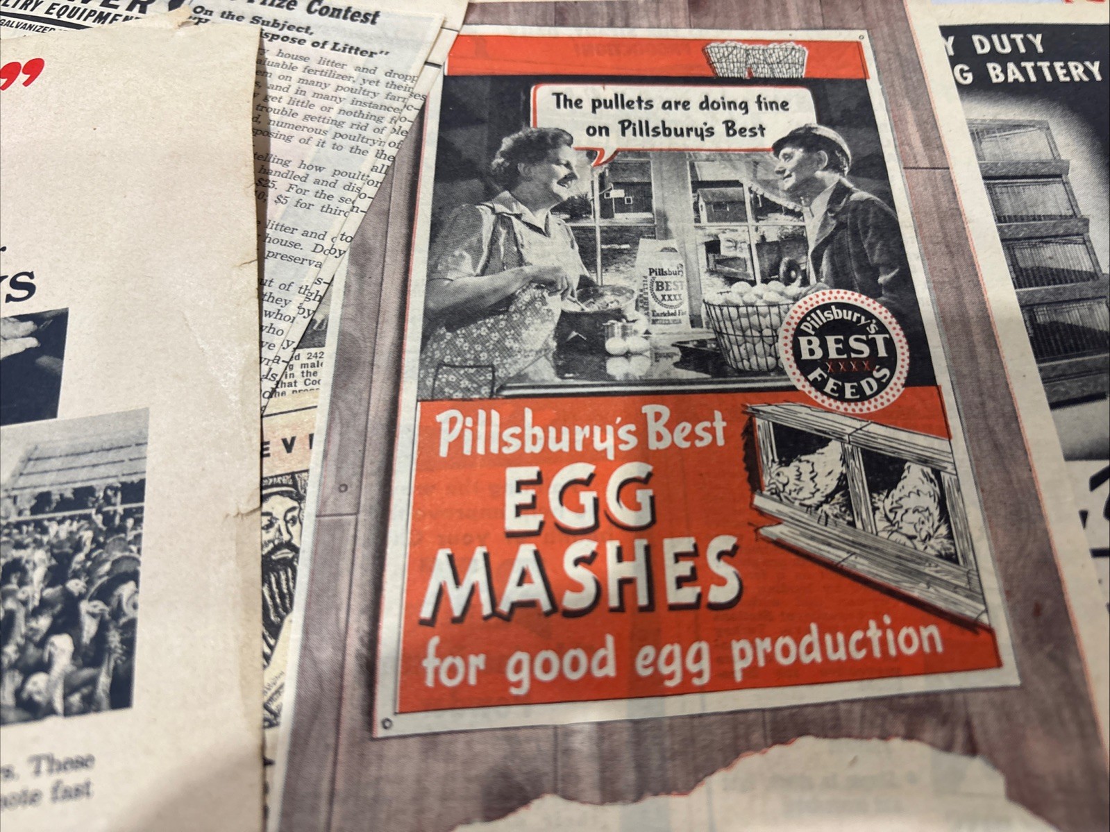 Lot Of 60 Chicken Poultry Egg Related Magazine Print ads 1930-50s