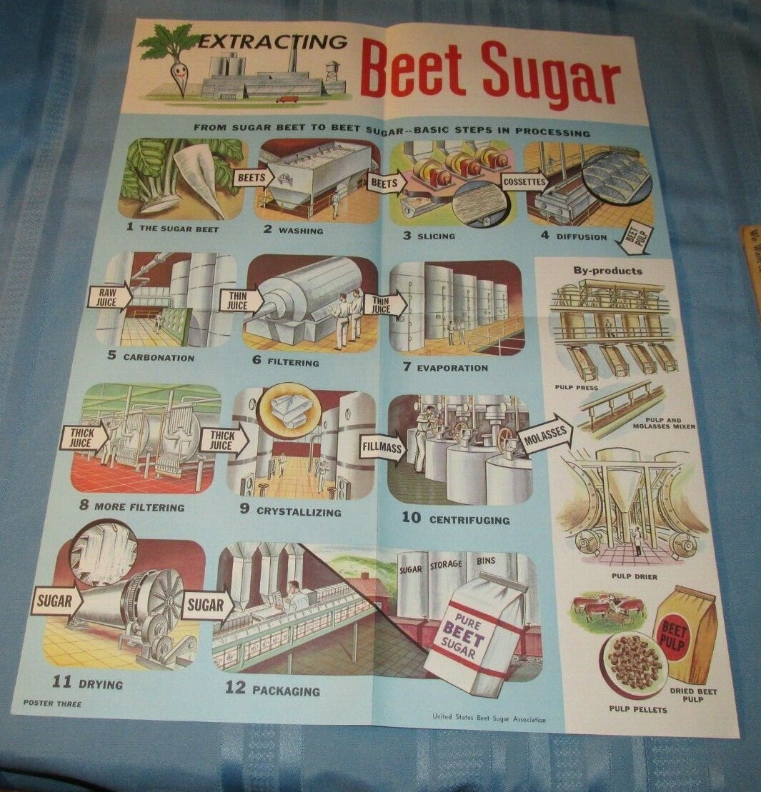 Rare Vintage 1960 Extracting Beets Sugar POSTER Food Factory Never Used
