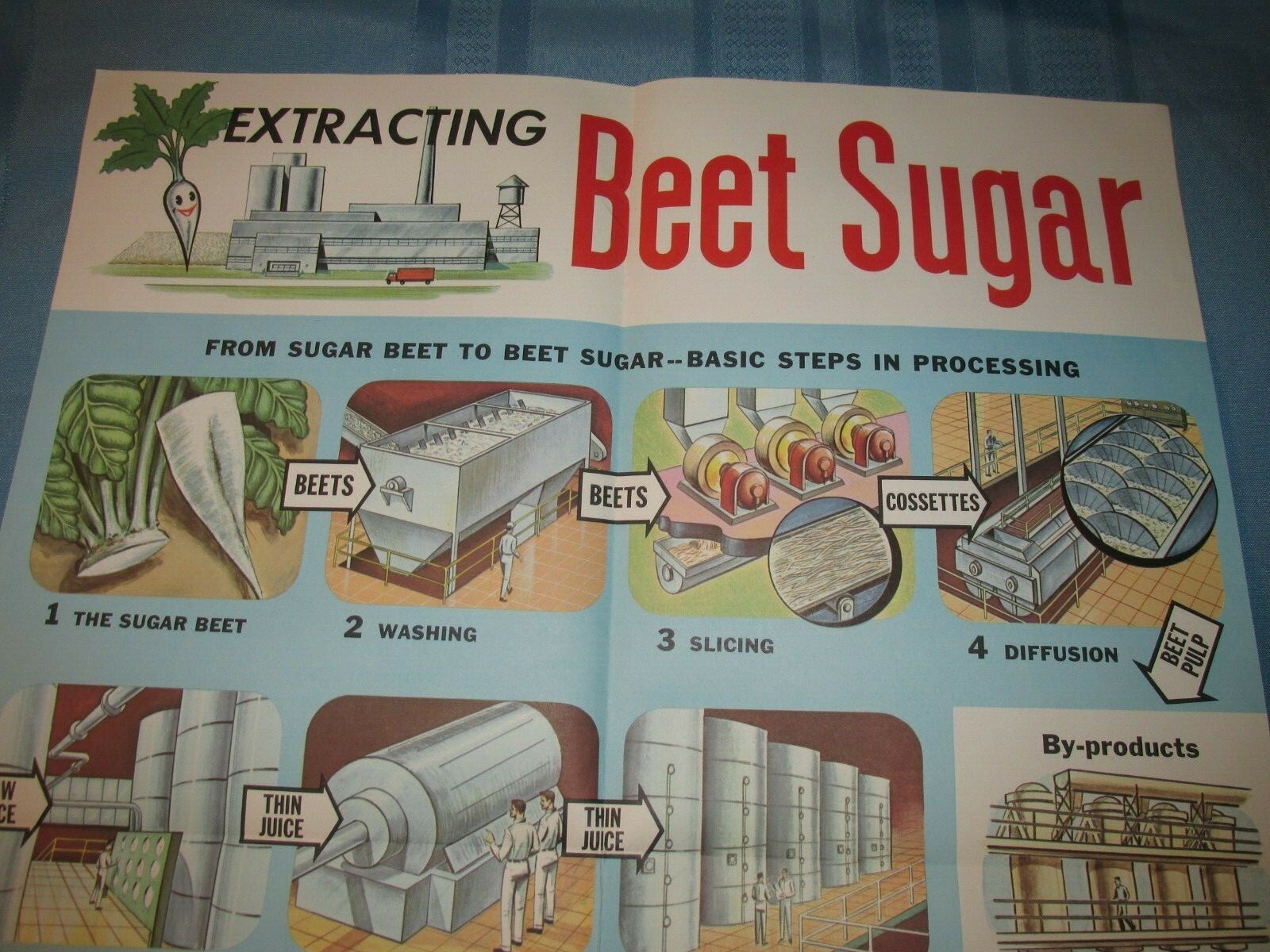 Rare Vintage 1960 Extracting Beets Sugar POSTER Food Factory Never Used