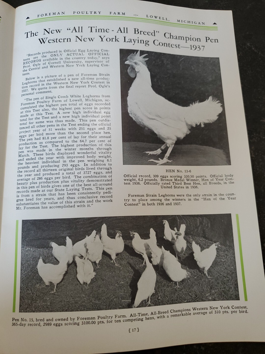 1944 Foreman Poultry Farm Catalog Chickens Beautiful & RARE 🐔