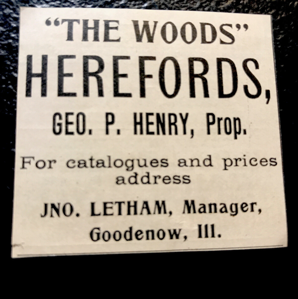 1902 The Woods – Henry Farm Cattle Advertising – Goodenow – Illinois – Cow