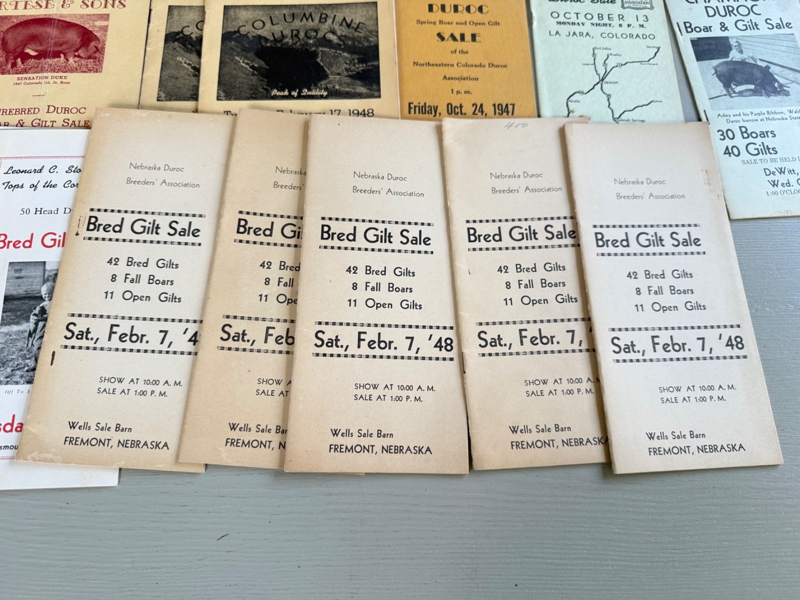 Mixed Lot of 34 Vintage Duroc Pig Hog Auction Sale Brochure Advertising KS NE CO