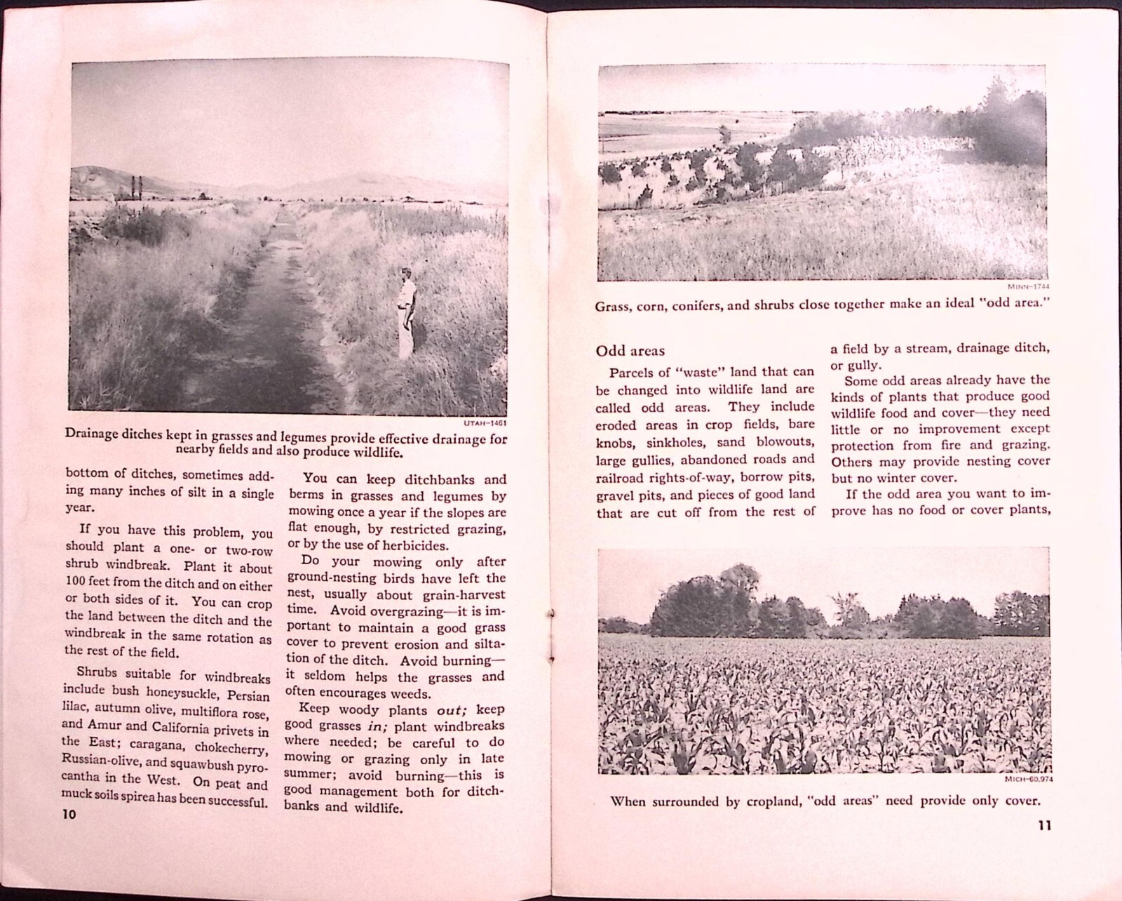 1969 US DEPARTMENT OF AGRICULTURE MAKING LAND PRODUCE USEFUL WILDLIFE BOOKLET Z9