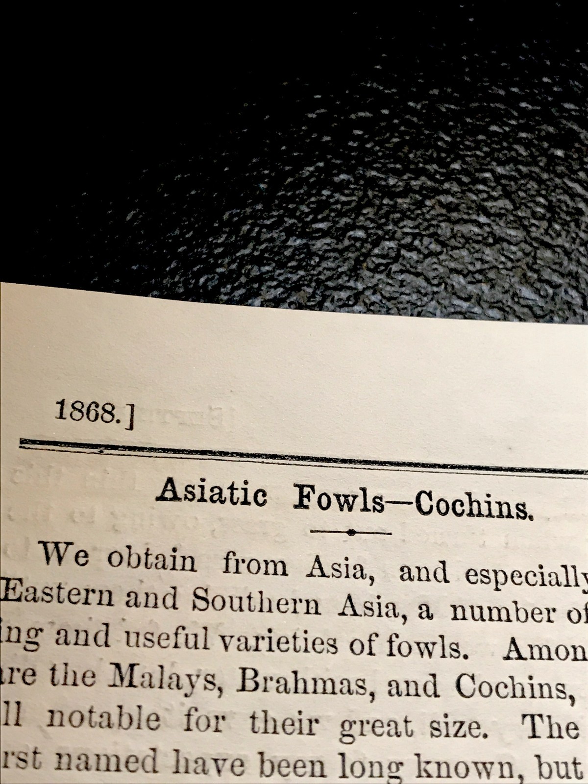 1868 Buff Cochin Cock & Hens Farm Engraving Advertising & Article