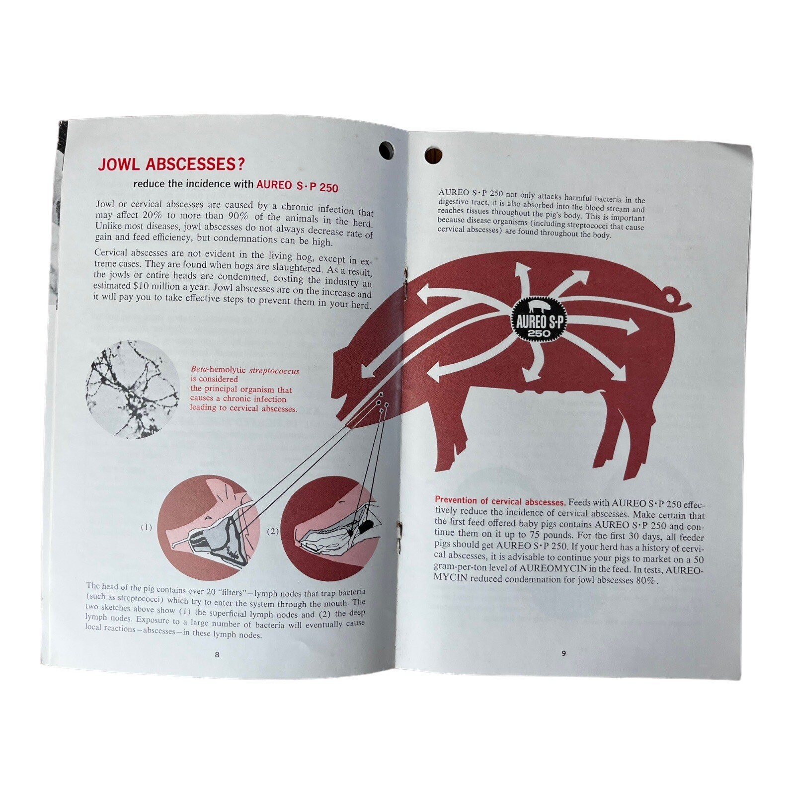 Vintage Aureo SP 250 Feed Pork Profit 16 Page Brochure Print Advert