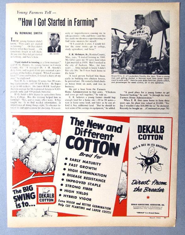 Original 1964 Feed Article Featuring Bruce Ellis Jr Lauderdal County Mississippi