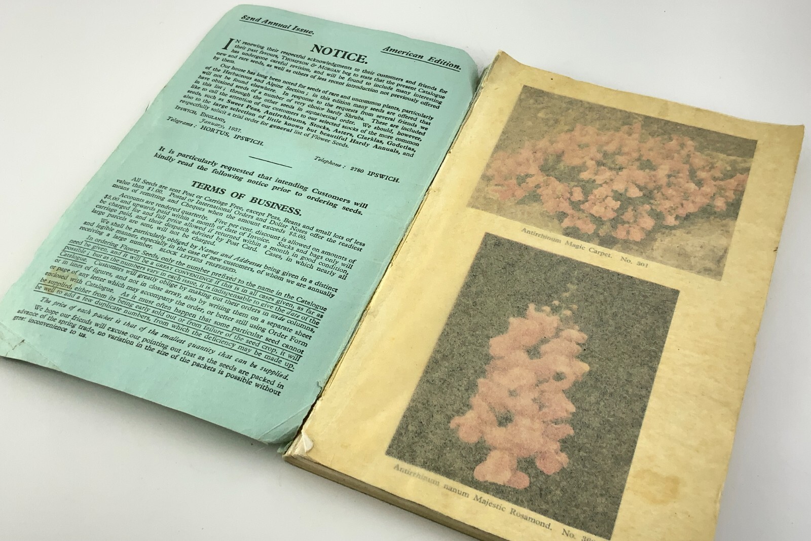 Thompson & Morgan 1937 Catalogue of Flower Vegetable Seeds Catalog EE634